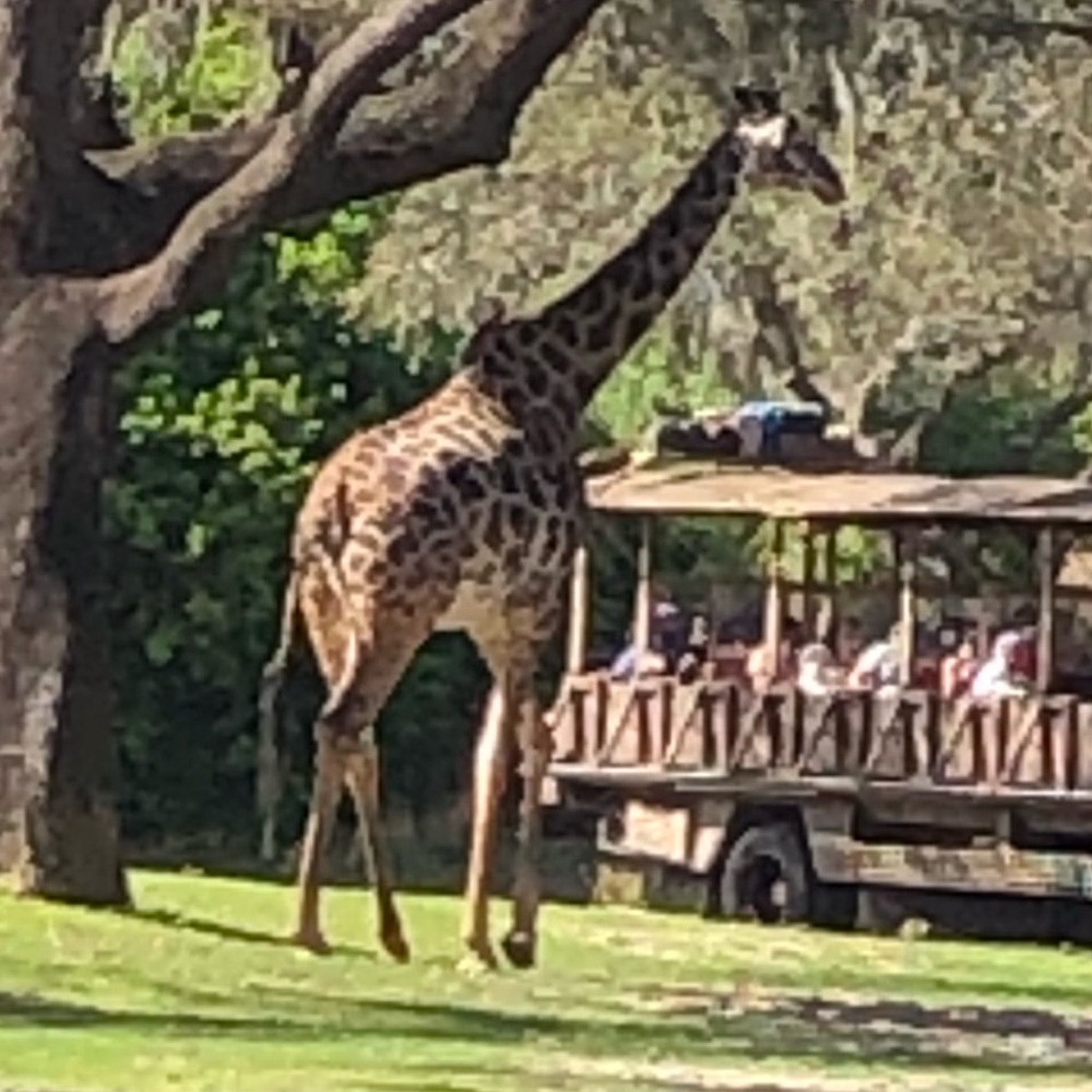 Meet your Posher, Hanson